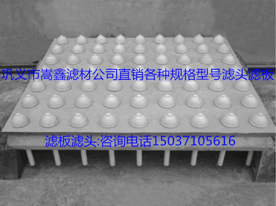 �V�^�V��Ч��