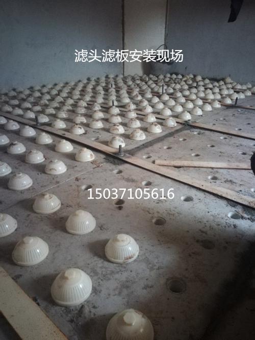 �L(zh��ng)���V�^�V�尲�b�D